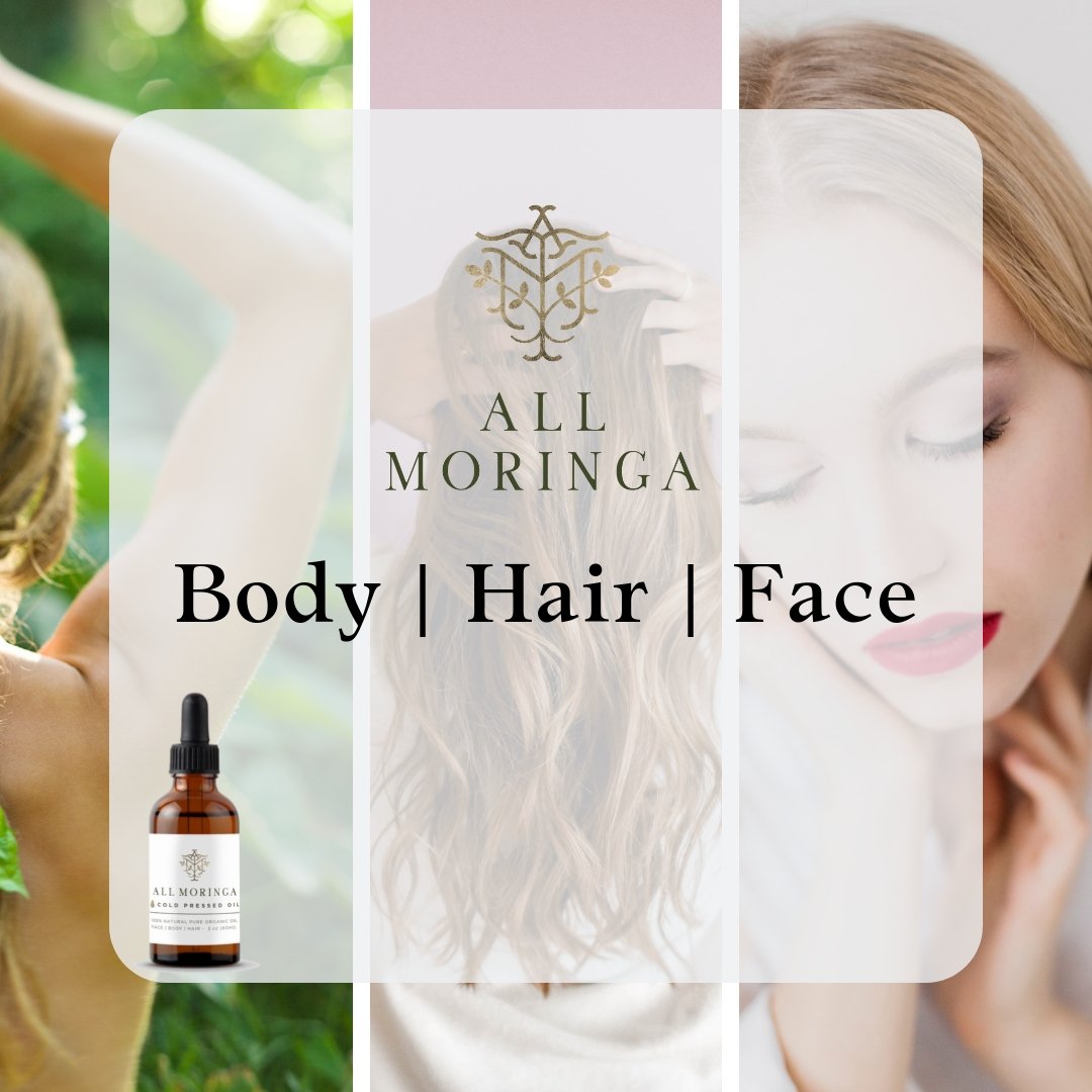 Organic Moringa Seed Oil - Cold Pressed